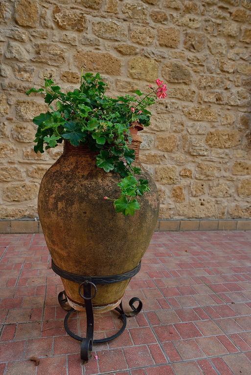 Il Triclinio B&B ピアッツァ・アルメリーナ エクステリア 写真